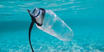 プラスチックは環境にやさしい